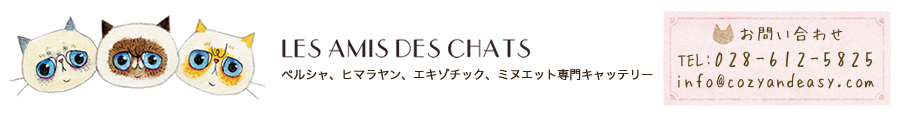 ペルシャ、チンチラ、ヒマラヤン、エキゾチック専門キャッテリー LES AMIS DES CHATS
