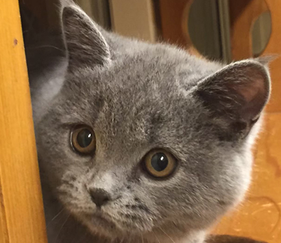 ���������å��λ�ǭ�����