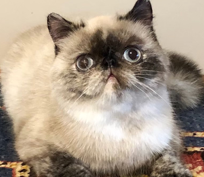 ���������å��λ�ǭ�����