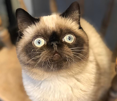 ���������å��λ�ǭ�����