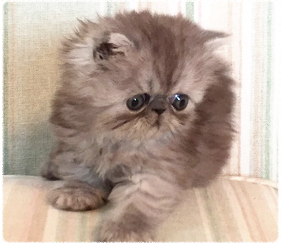 ������饴�����